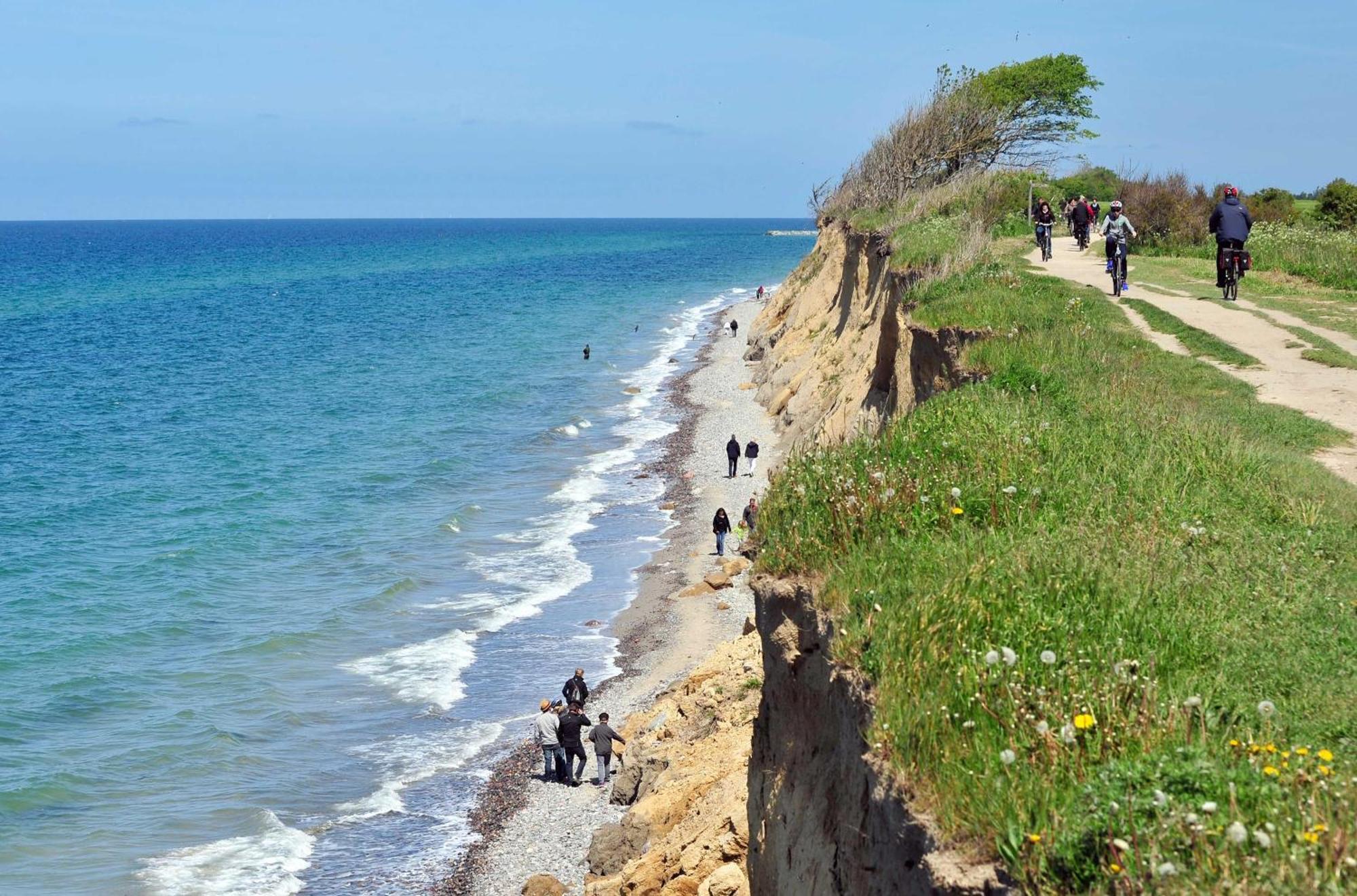 Strandhafer An Der Seebruecke زنغست المظهر الخارجي الصورة